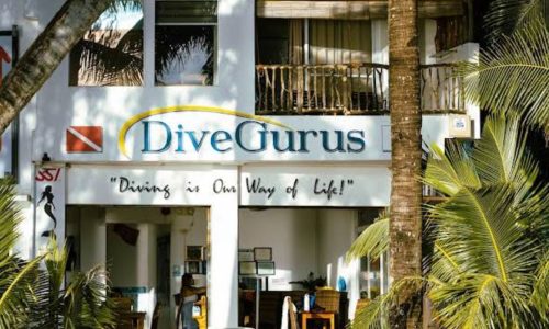 DIVE GURU DIVE GURU
