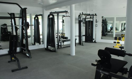School Gym