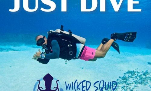 WICKED SQUID WICKED SQUID